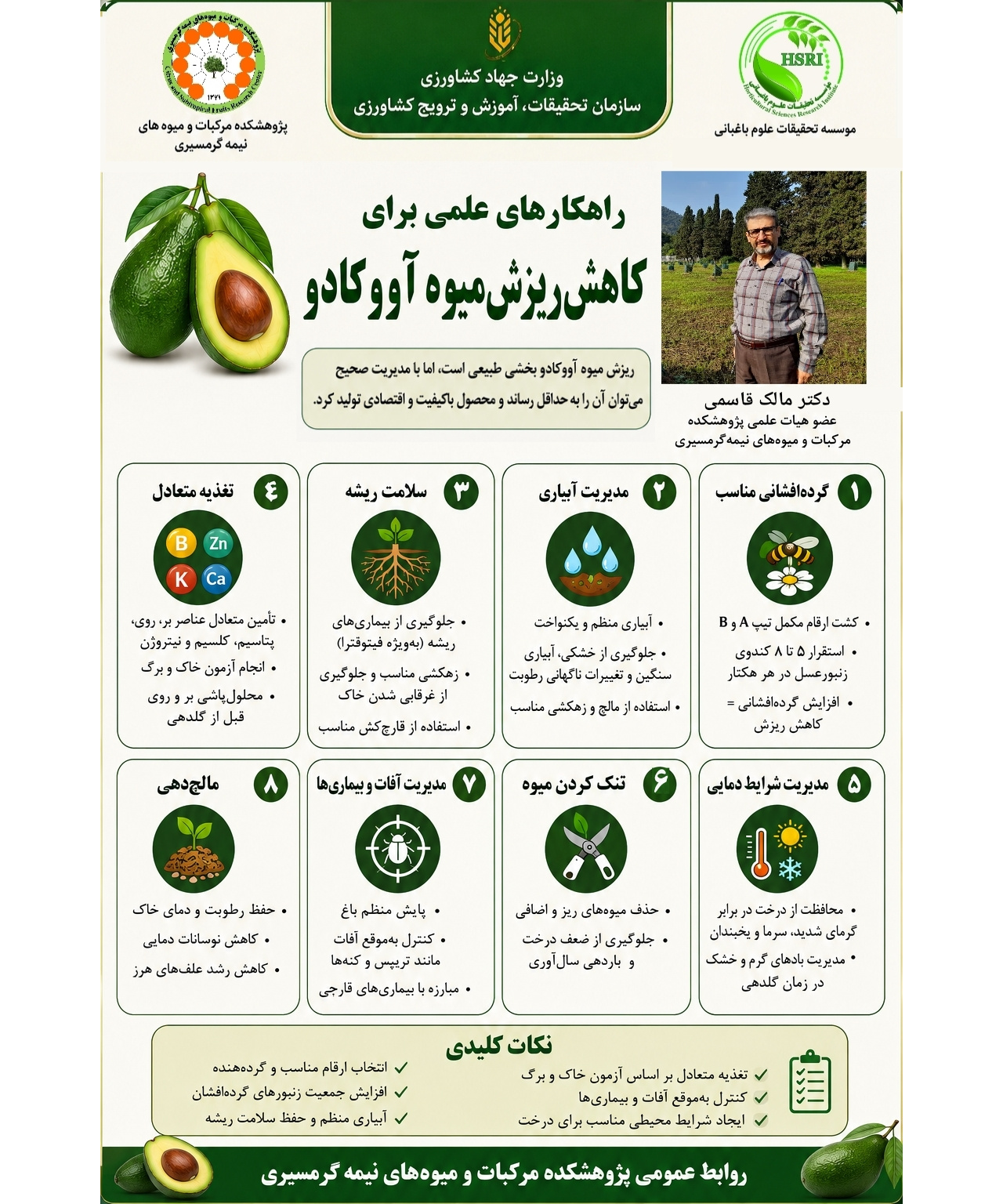 اینفوگرافیک بررسی مهمترین دلایل ریزش میوه آووکادو و ارائه راهکارهای علمی و کاربردی