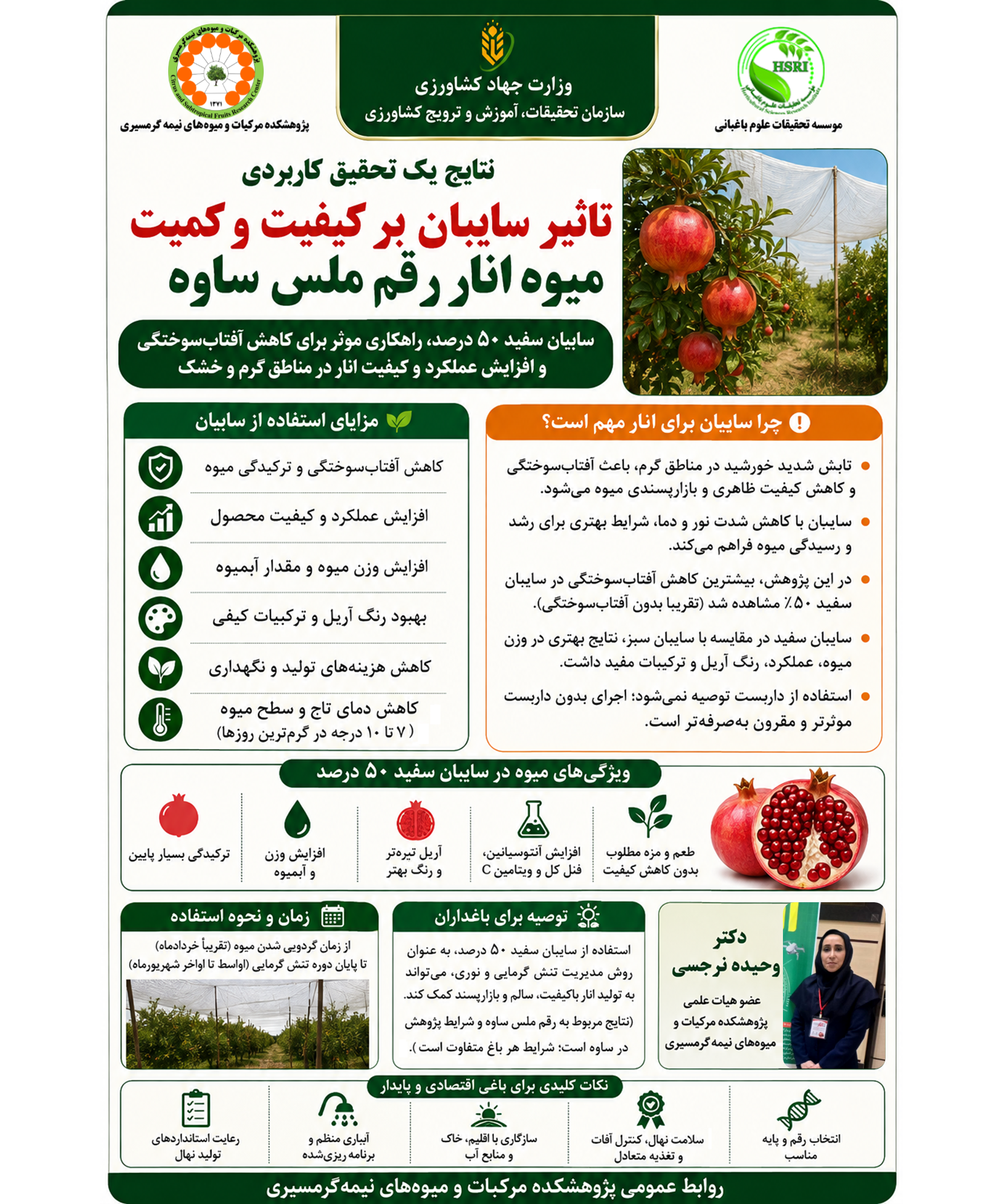 اینفوگرافیک تاثیر سایبان بر کیفیت و عملکرد انار