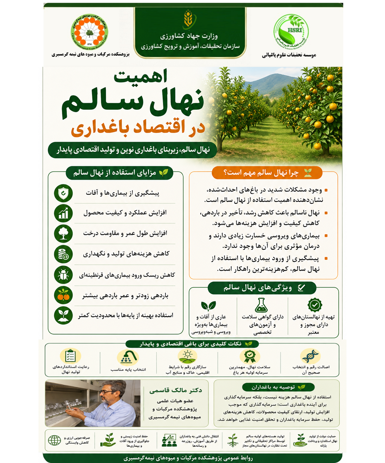 اینفوگرافیک بررسی اهمیت نهال سالم در توسعه اقتصادی باغداری