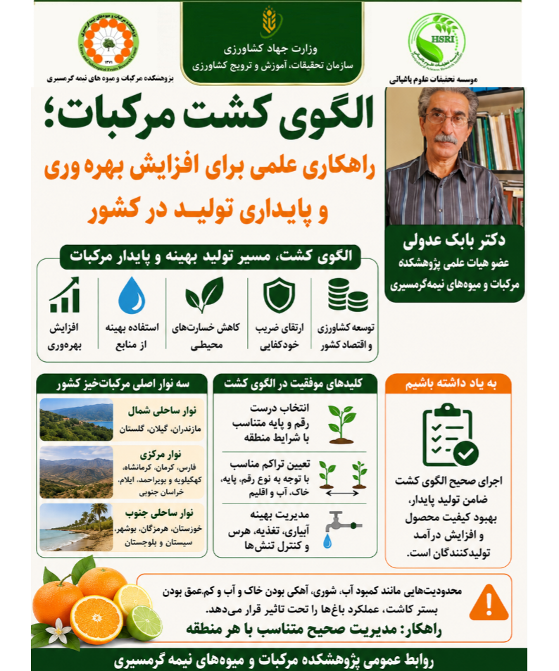اینفوگرافیک الگوی کشت مرکبات؛ راهکاری علمی برای افزایش بهره‌وری و پایداری تولید در کشور