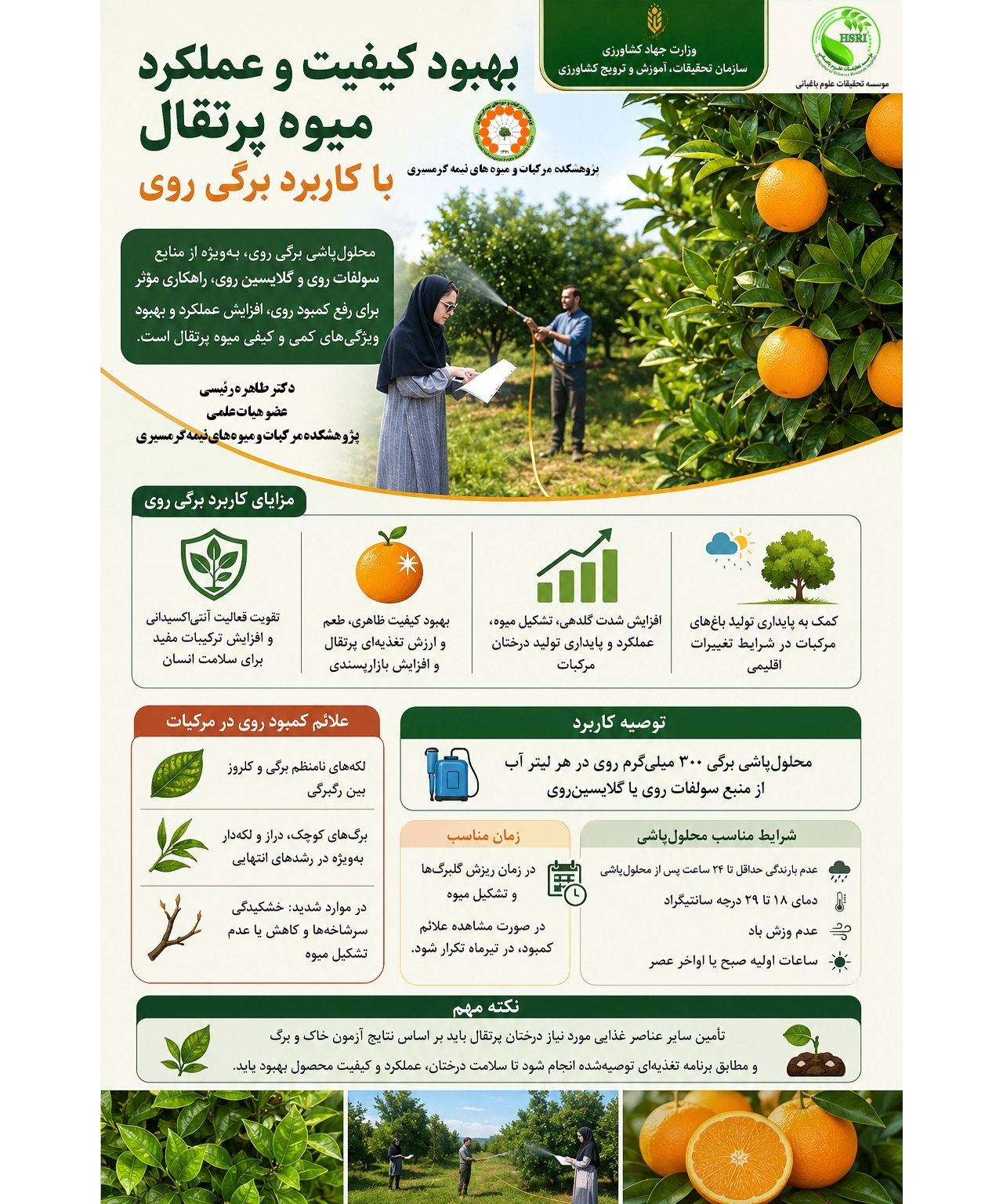 اینفوگرافیک بهبود کیفیت و عملکرد میوه پرتقال با کاربرد برگی روی