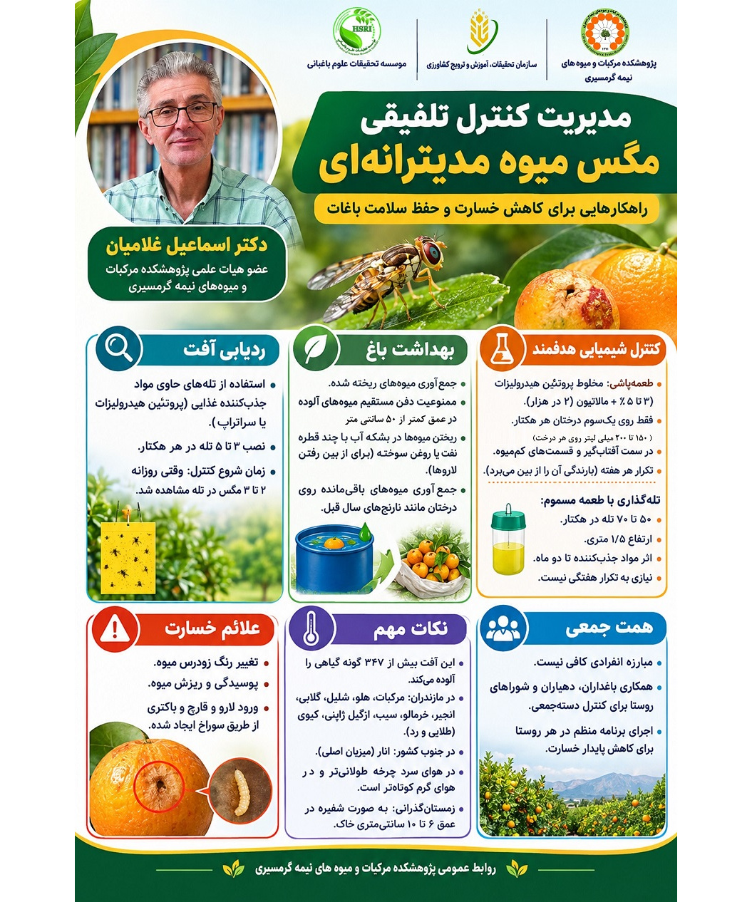 اینفوگرافیک مدیریت کنترل تلفیقی مگس میوه مدیترانه ای
