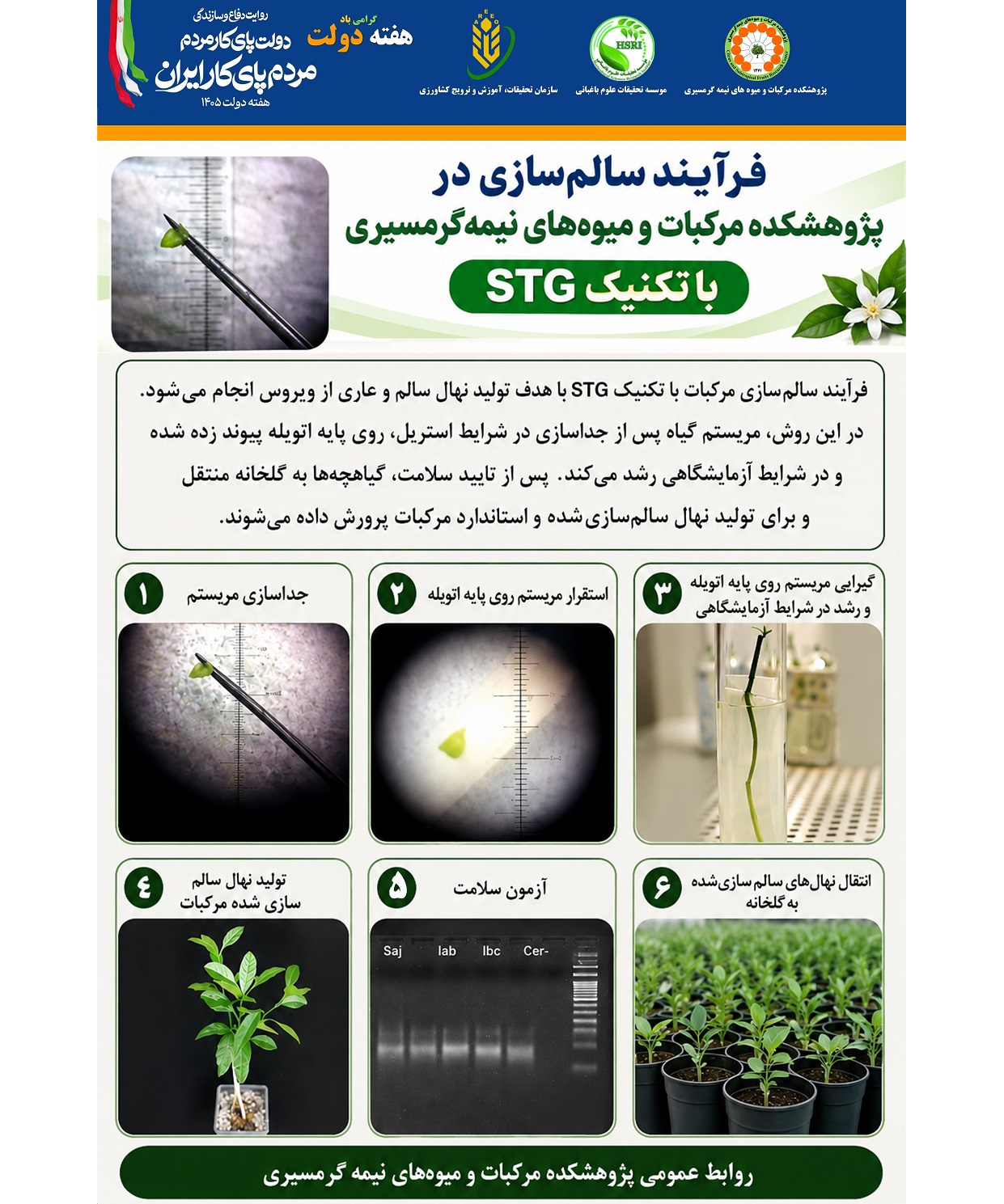 اینفوگرافیک فرایند سالم سازی با تکنیک STG
