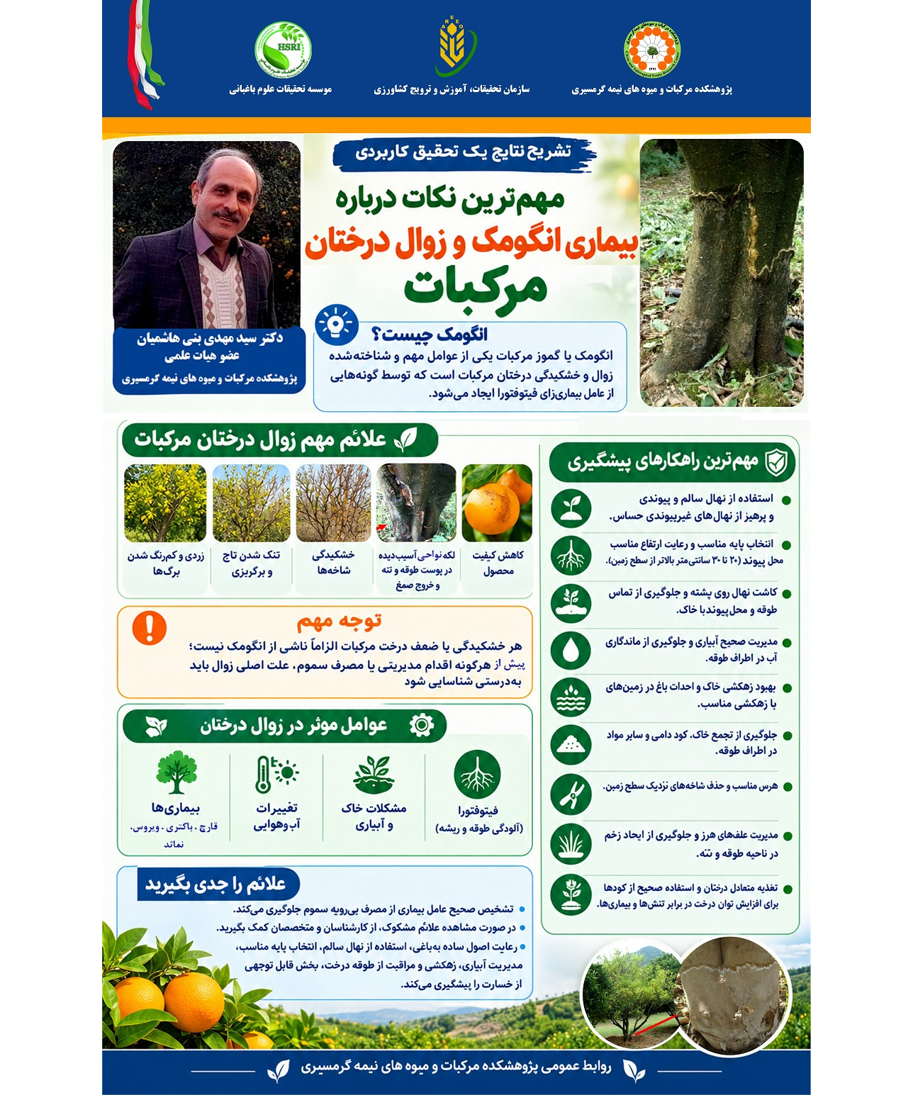 اینفوگرافیک بیماری انگومک یکی از علل شایع زوال درختان مرکبات در ایران