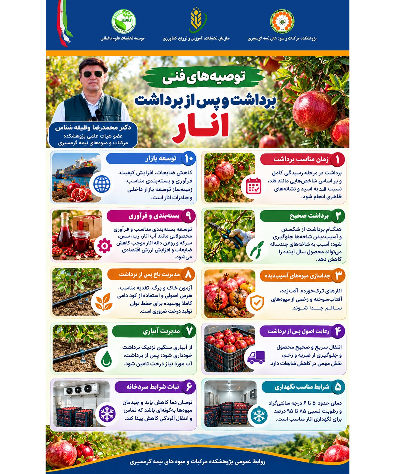 اینفوگرافیک توصیه‌های فنی درباره برداشت و اقدامات پس از برداشت انار
