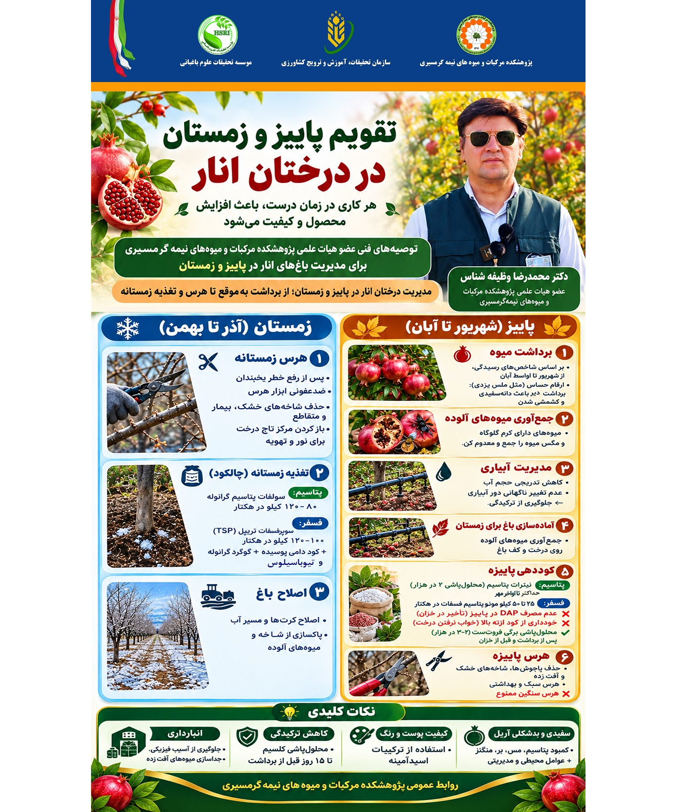 اینفوگرافیک مدیریت درختان انار در پاییز و زمستان؛ از برداشت به ‌موقع تا هرس و تغذیه زمستانه