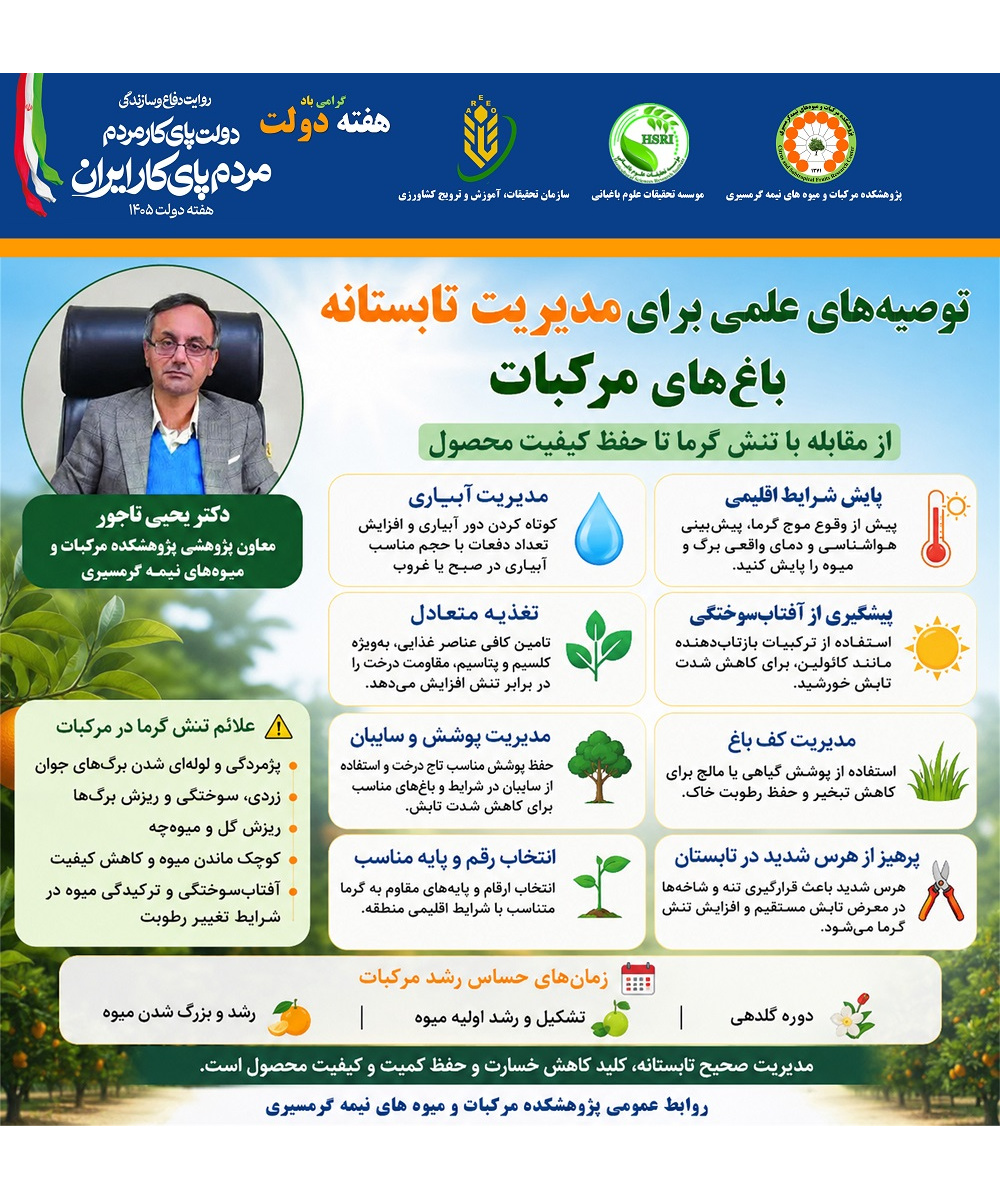 اینفوگرافیک توصیه‌های علمی برای مدیریت تابستانه باغ‌های مرکبات؛ از مقابله با تنش گرما تا حفظ کیفیت محصول