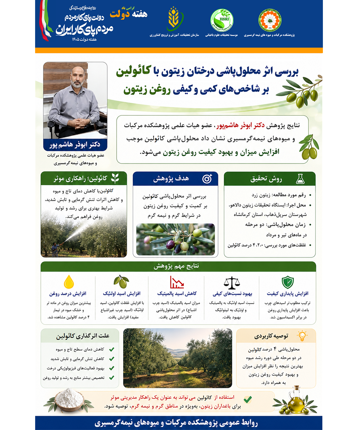 اینفوگرافیک بررسی اثر محلول‌پاشی کائولین بر کمیت و کیفیت روغن زیتون