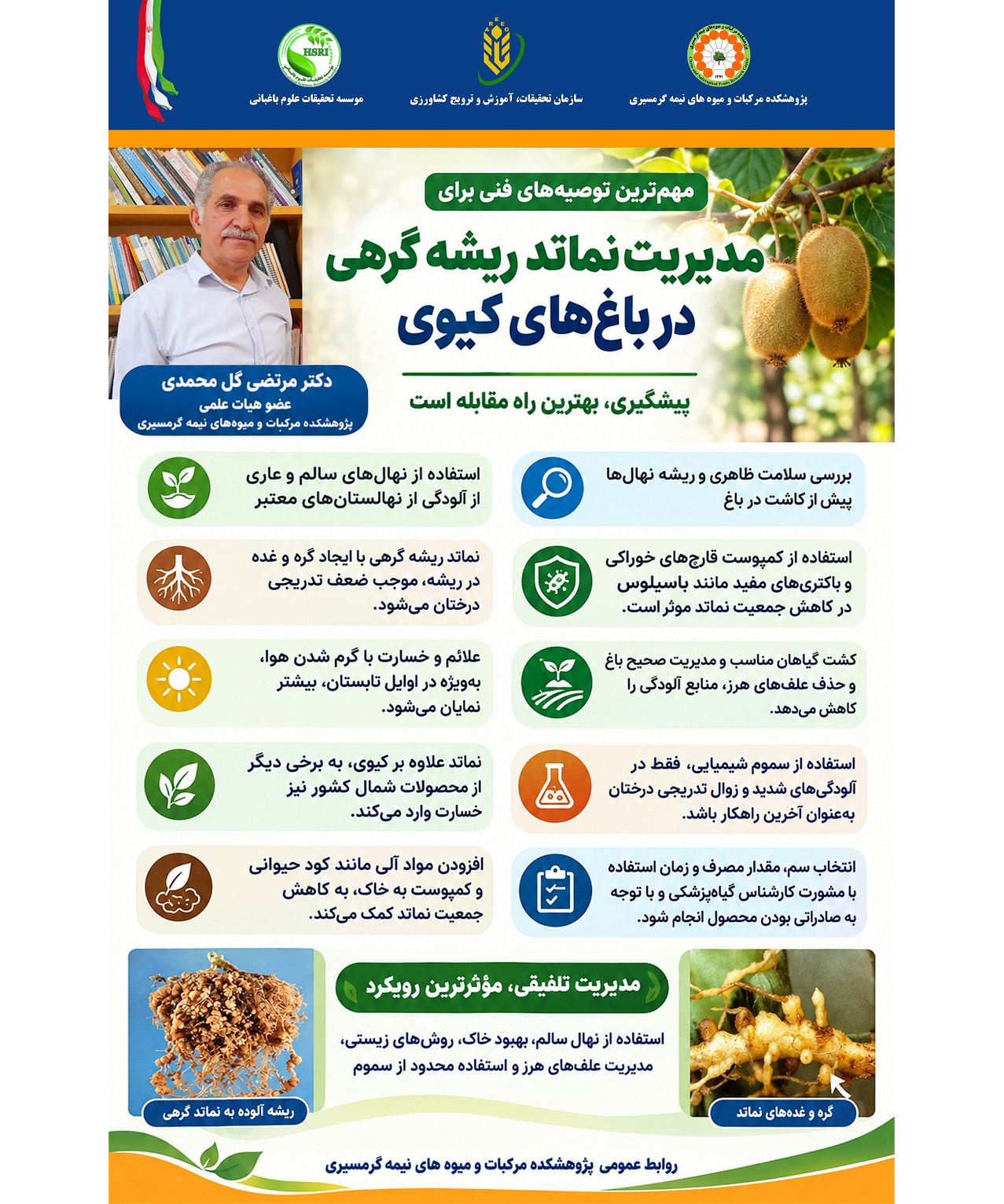 اینفوگرافیک توصیه‌های فنی برای مدیریت نماتد ریشه گرهی در باغات کیوی