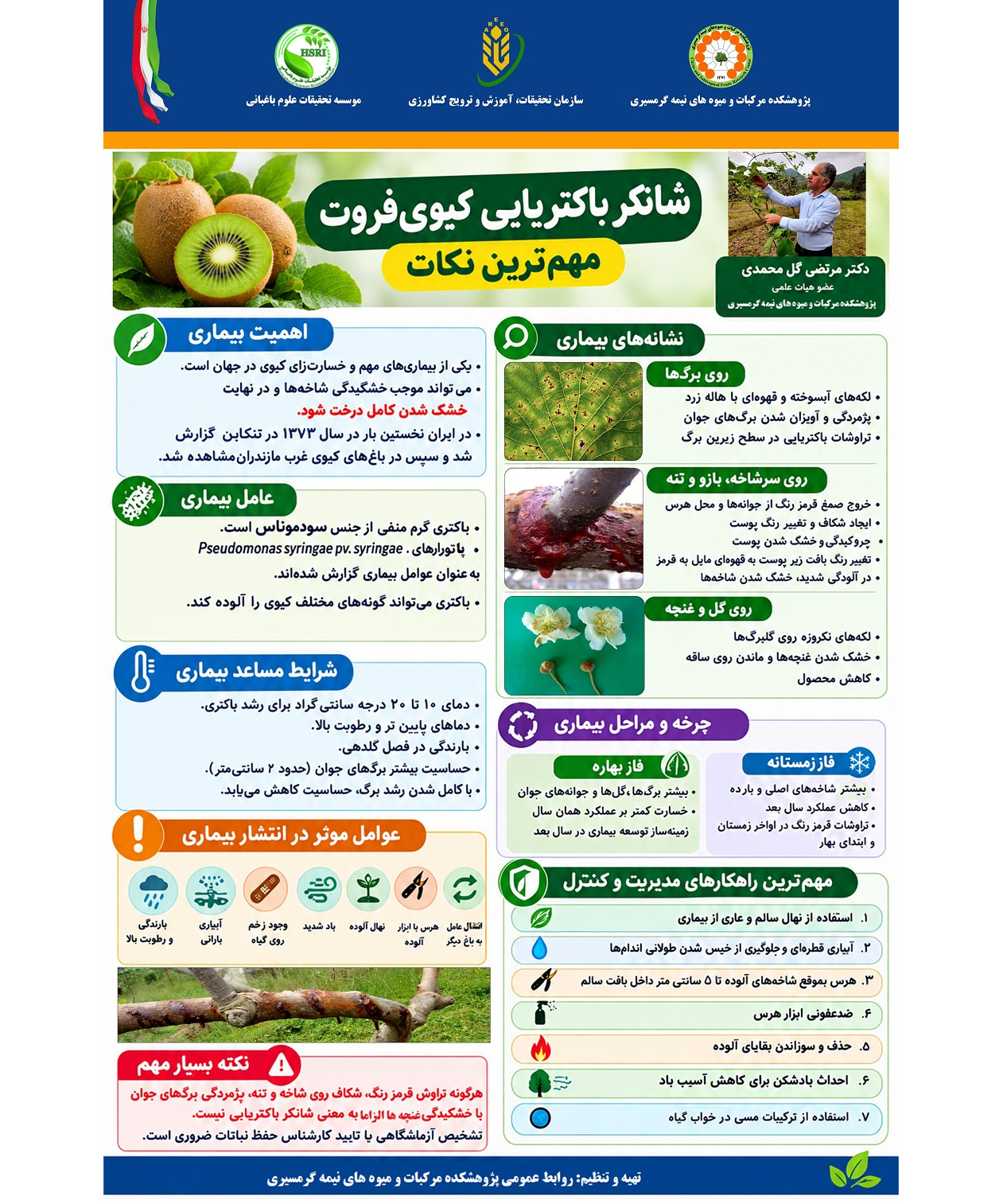 توصیه‌های فنی برای مدیریت شانکر باکتریایی کیوی