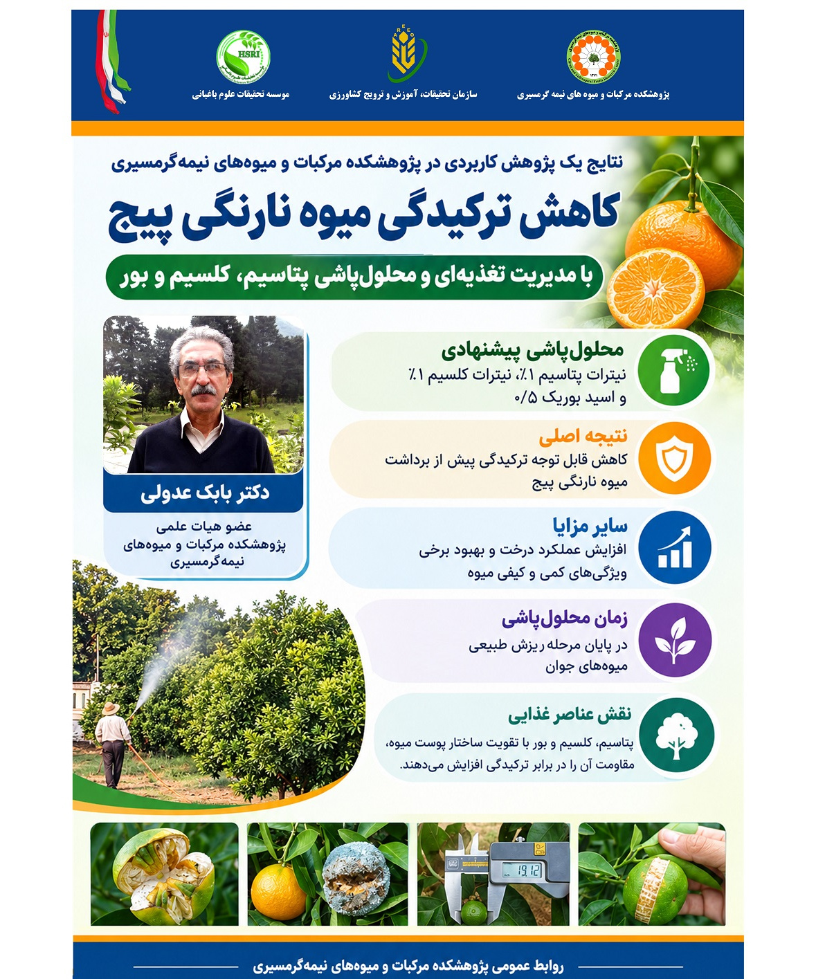 اینفوگرافیک کاهش ترکیدگی میوه نارنگی پیج با مدیریت تغذیه‌ای و محلول‌پاشی پتاسیم، کلسیم و بور