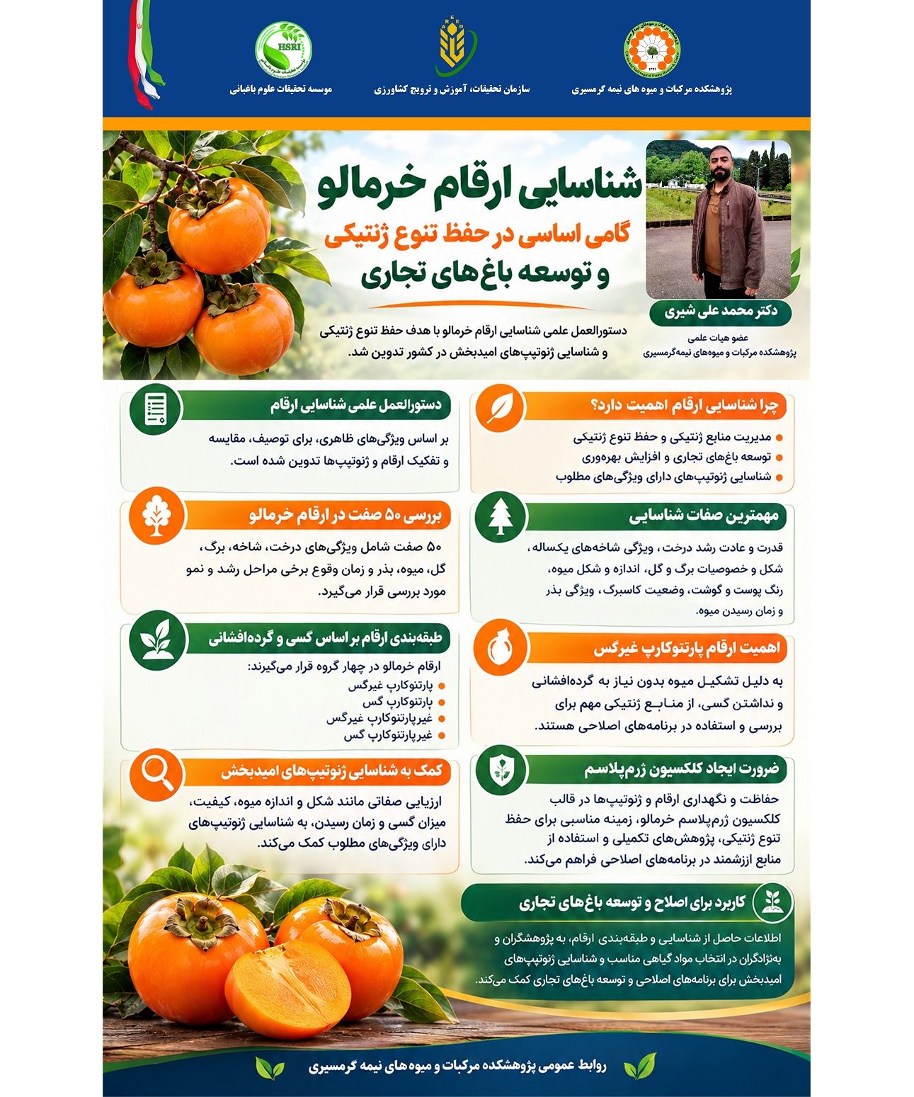 اینفوگرافیک دستورالعمل علمی شناسایی ارقام خرمالو 