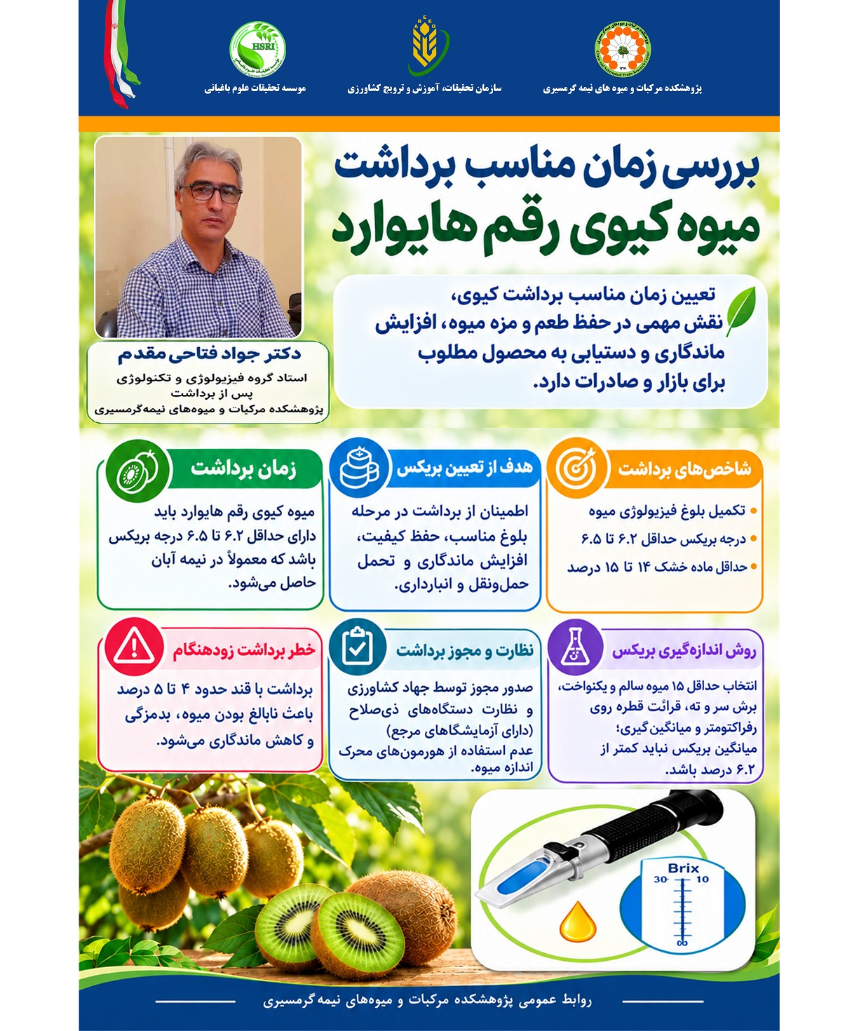 اینفوگرافیک بررسی زمان مناسب برداشت میوه کیوی رقم هایوارد