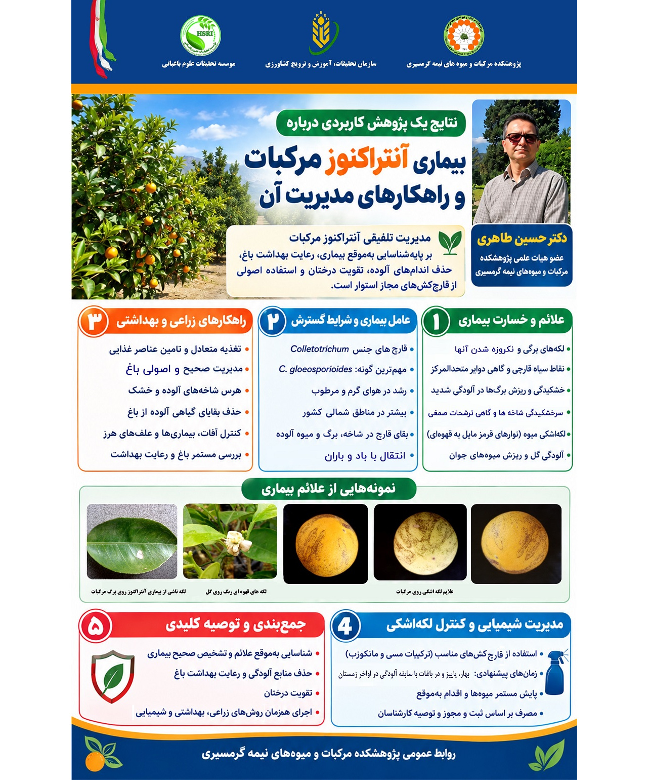 اینفوگرافیک نتایج یک پژوهش کاربردی درباره بیماری آنتراکنوز مرکبات و راهکارهای مدیریت آن