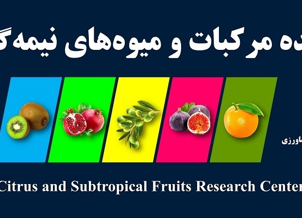 اسلایدر اصلی
