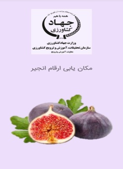 مکان یابی ارقام انجیر