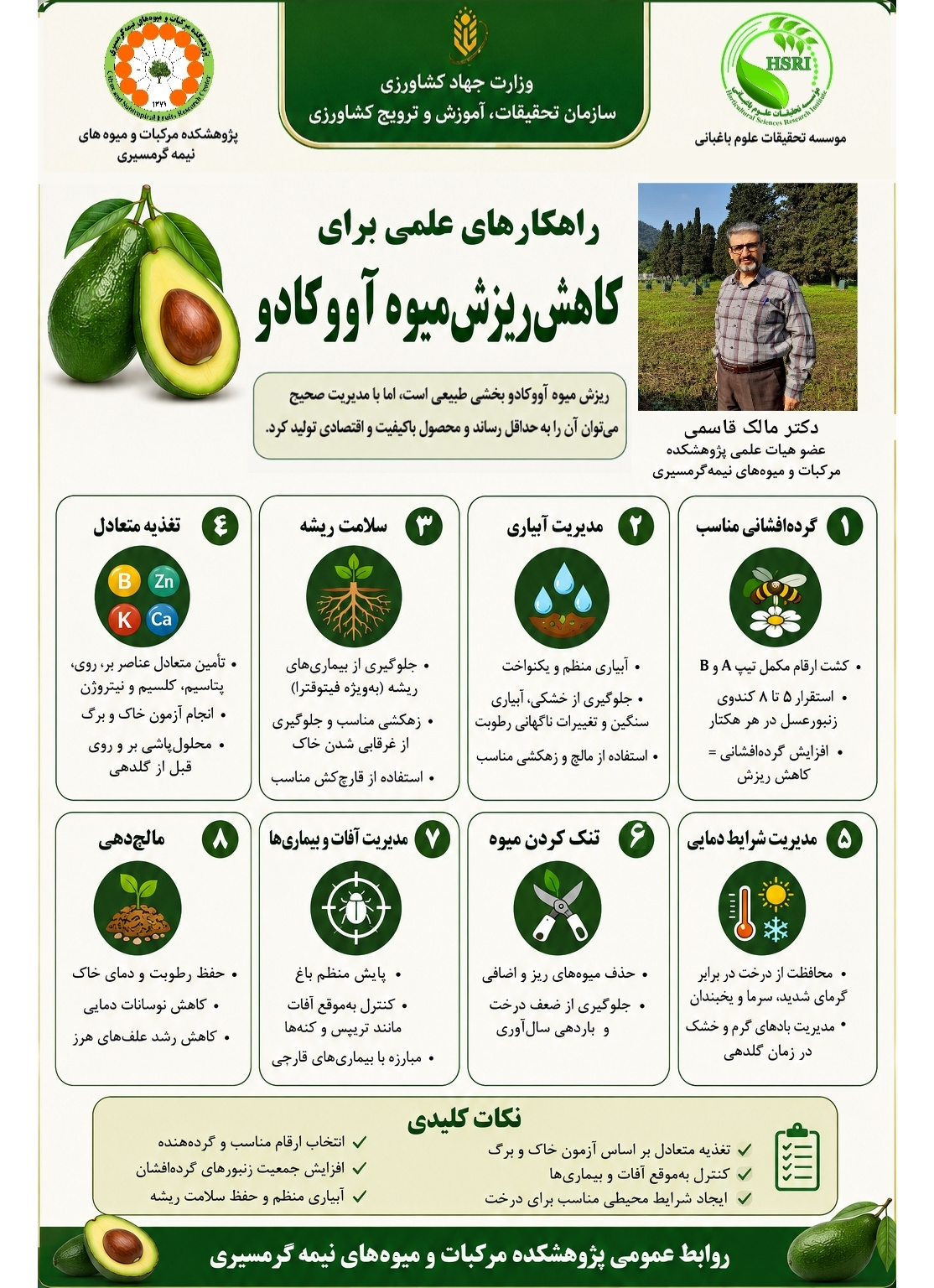 بررسی مهمترین دلایل ریزش میوه آووکادو و ارائه راهکارهای علمی و کاربردی