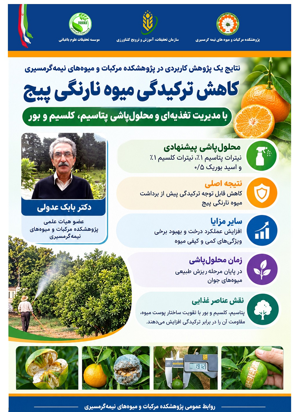 کاهش ترکیدگی میوه نارنگی پیج با مدیریت تغذیه‌ای و محلول‌پاشی پتاسیم، کلسیم و بور