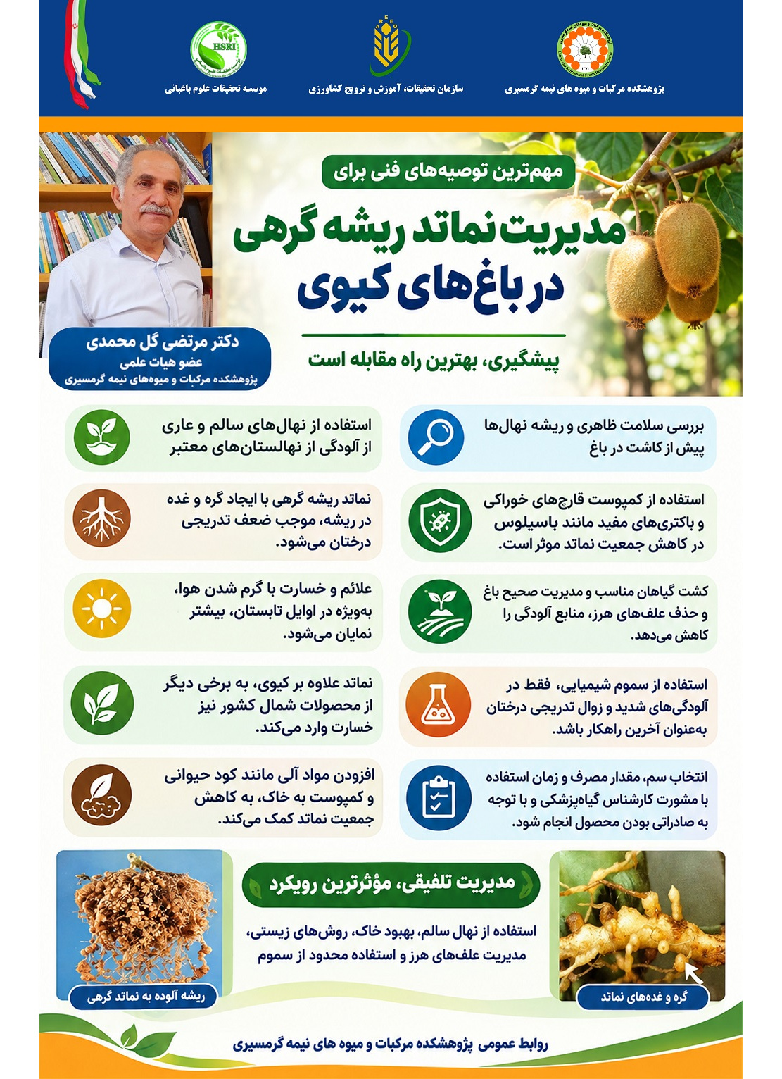 توصیه‌های فنی برای مدیریت نماتد ریشه گرهی در باغات کیوی