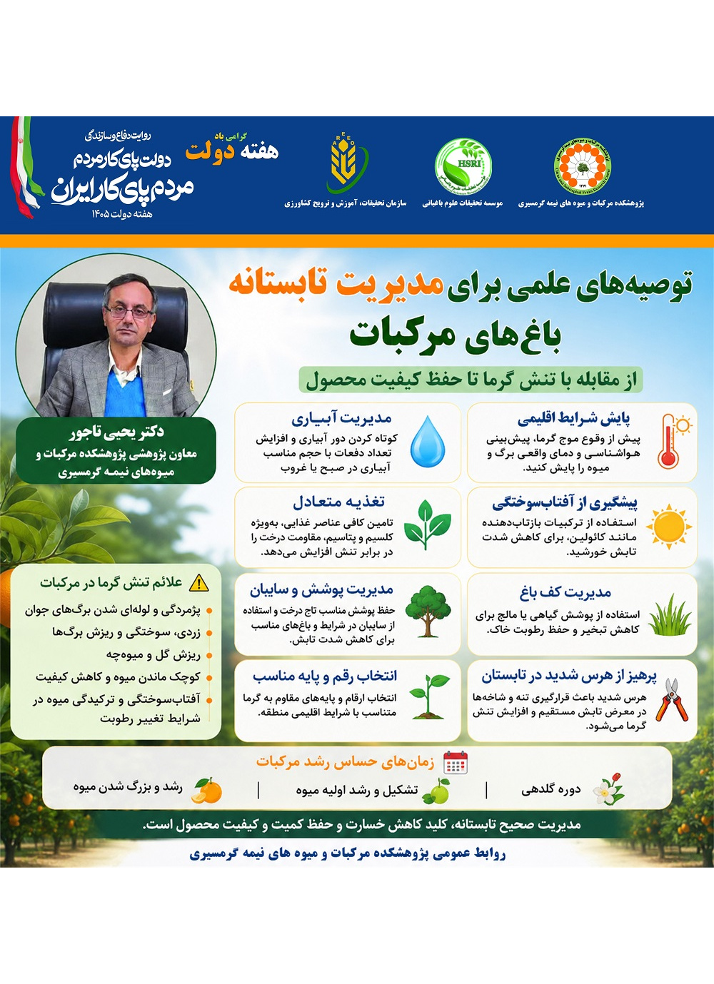 توصیه‌های علمی برای مدیریت تابستانه باغ‌های مرکبات؛ از مقابله با تنش گرما تا حفظ کیفیت محصول
