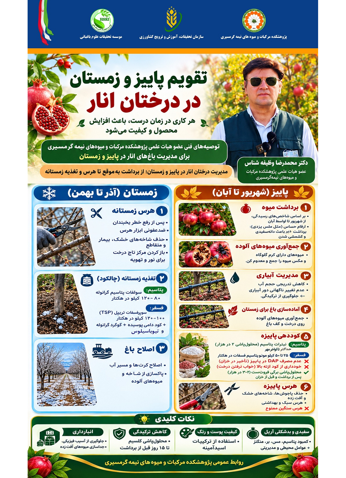 مدیریت درختان انار در پاییز و زمستان؛ از برداشت به ‌موقع تا هرس و تغذیه زمستانه