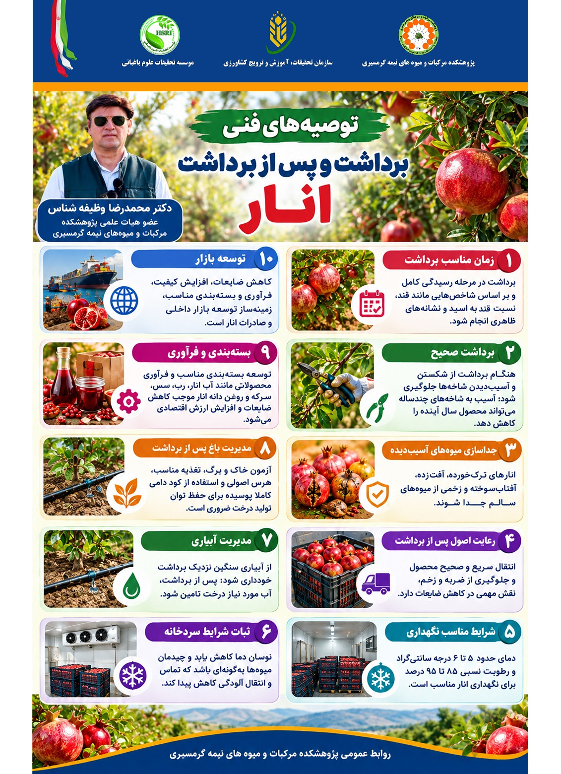 توصیه‌های فنی درباره برداشت و اقدامات پس از برداشت انار