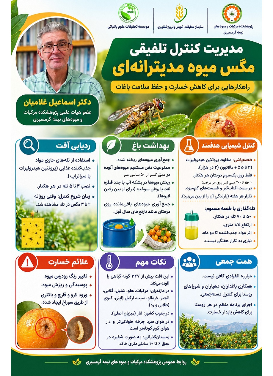 اینفوگرافیک مدیریت کنترل تلفیقی مگس میوه مدیترانه ای