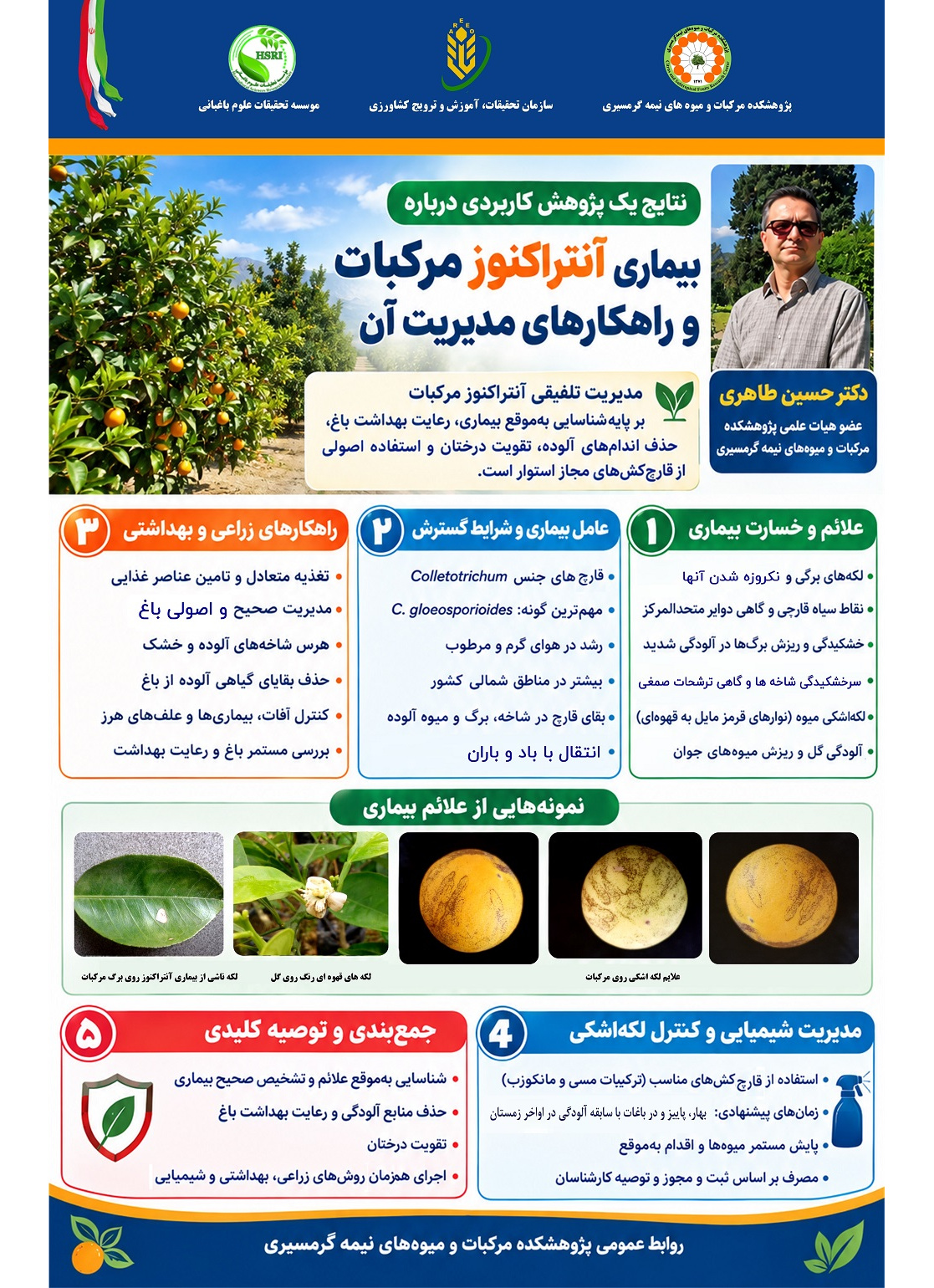 نتایج یک پژوهش کاربردی درباره بیماری آنتراکنوز مرکبات و راهکارهای مدیریت آن