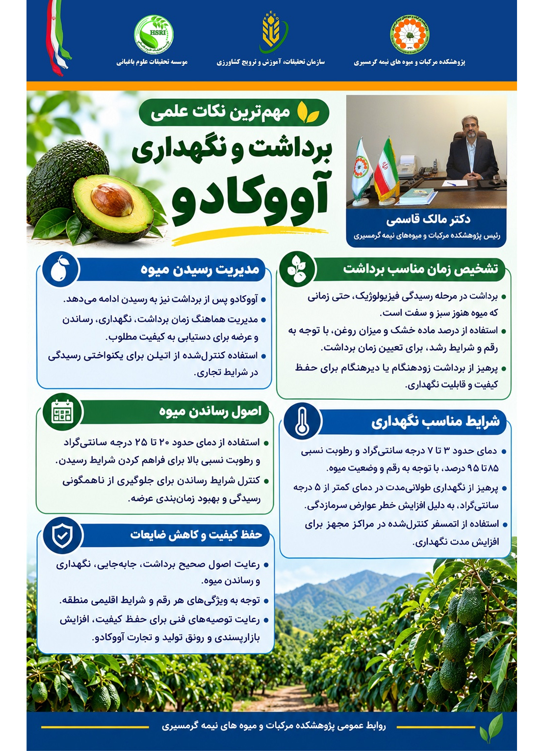 اینفوگرافیک اصول علمی برداشت و نگهداری آووکادو