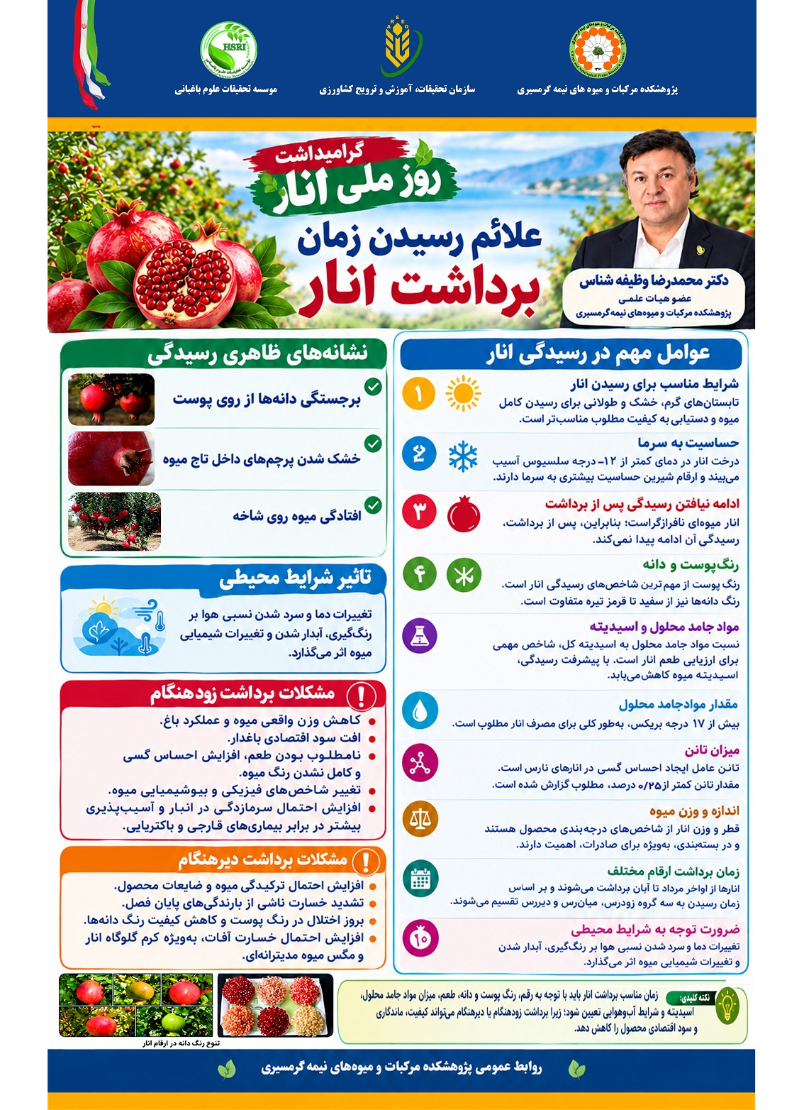 شاخص‌های تشخیص زمان مناسب برداشت انار