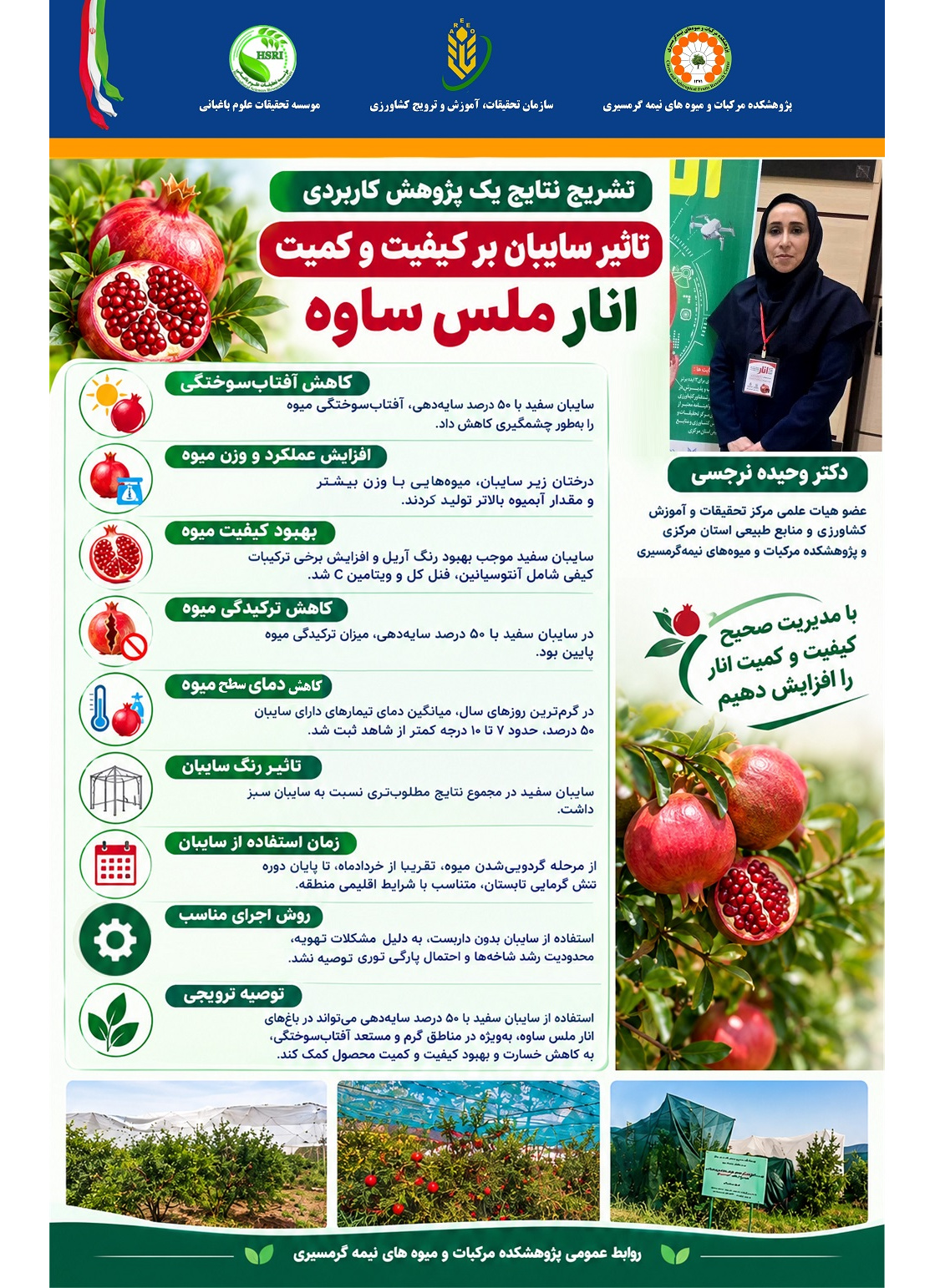اینفوگرافیک تاثیر سایبان بر کیفیت و عملکرد انار