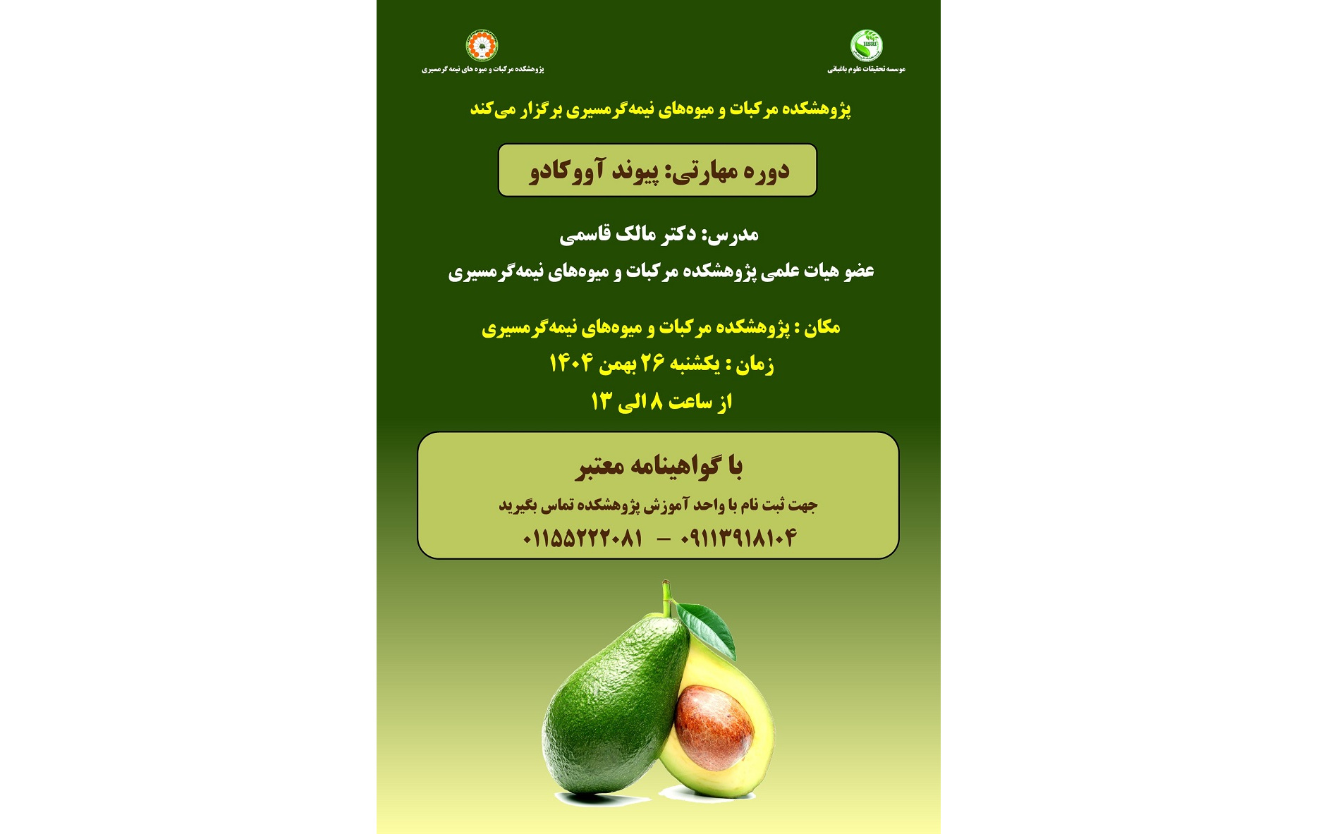 دوره مهارتی پیوند آووکادو در پژوهشکده مرکبات و میوه‌های نیمه‌گرمسیری برگزار می شود