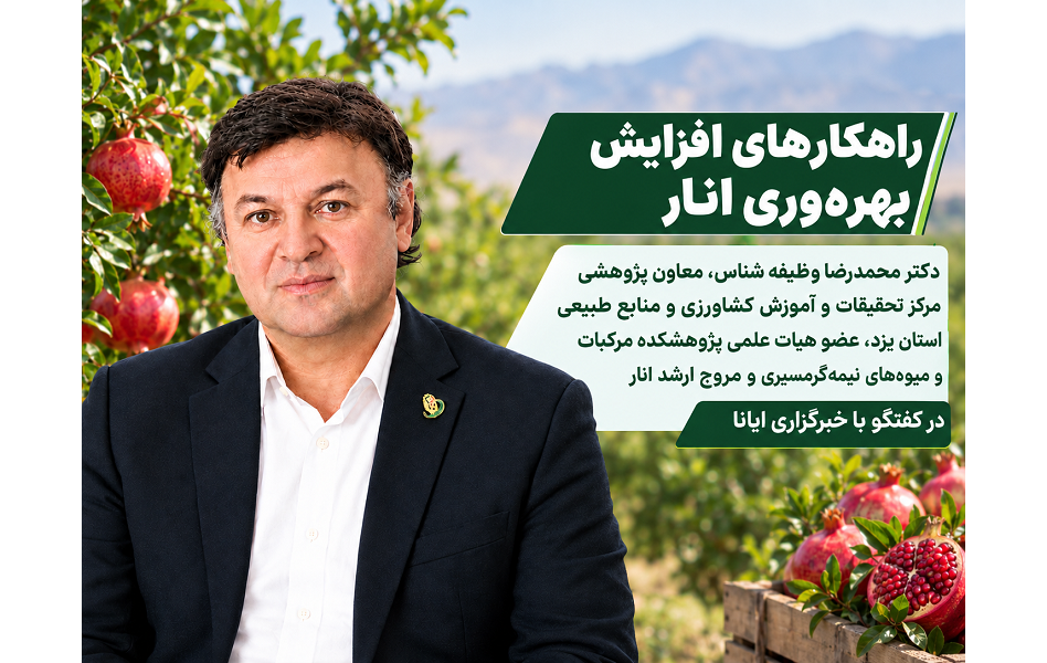 عضو هیات علمی پژوهشکده مرکبات و میوه‌های نیمه‌گرمسیری در گفتگو با خبرگزاری ایانا بمناسبت روز ملی انار