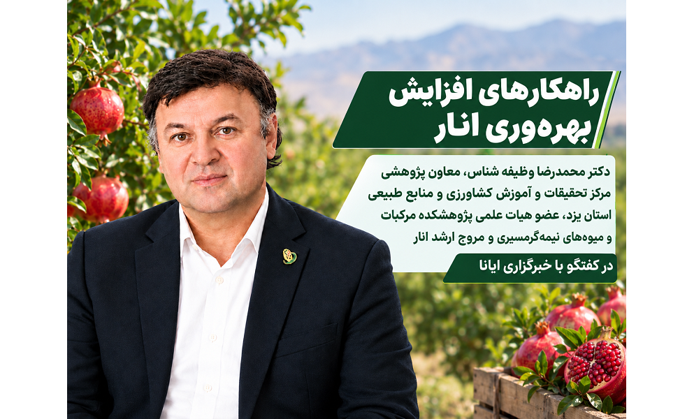 عضو هیات علمی پژوهشکده مرکبات و میوه‌های نیمه‌گرمسیری در گفتگو با خبرگزاری ایانا بمناسبت روز ملی انار