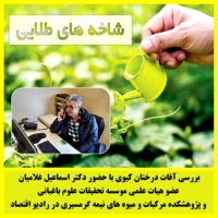 بررسی آفات درختان کیوی با حضور عضو هیات علمی پژوهشکده مرکبات و میوه های نیمه گرمسیری در رادیو اقتصاد