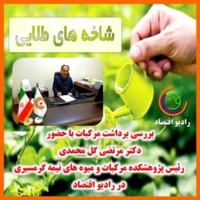 بررسی برداشت مرکبات با حضور رئیس پژوهشکده مرکبات و میوه های نیمه گرمسیری در رادیو اقتصاد