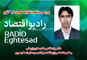 بررسی وضعیت تولید کیوی در کشور با حضور عضو هیات علمی پژوهشکده مرکبات و میوه های نیمه گرمسیری در رادیو اقتصاد