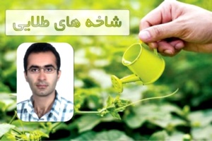 بررسی کنترل آفات درختان از دیدگاه کاهش مصرف سموم توسط عضو هیات علمی پژوهشکده مرکبات و میوه های نیمه گرمسیری در رادیو اقتصاد