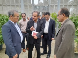 بازدید معاون وزیر و رئیس سازمان تحقیقات، آموزش و ترویج کشاورزی از پژوهشکده مرکبات و میوههای نیمهگرمسیری