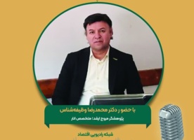 مصاحبه با عضو هیات علمی پژوهشکده مرکبات و میوههای نیمهگرمسیری به مناسبت روز ملی انار در رادیو اقتصاد