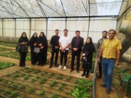 بازدید دانشجویان کارشناسی ارشد رشته علوم باغبانی دانشگاه اردکان از کلکسیون ذخائر توارثی انار کشور در یزد