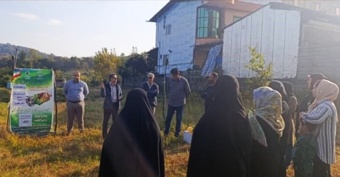 برگزاری کارگاه آموزشی و ترویجی روز انتقال یافتههای تحقیقاتی با محوریت کنترل بیماری های مرکبات و مگس میوه مدیترانه ای