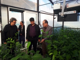 بازدید معاون مدیرکل دفتر میوه های گرمسیری و نیمهگرمسیری وزارت جهاد کشاورزی و هیأت همراه از پژوهشکده مرکبات و میوههای نیمهگرمسیری