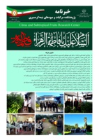 انتشار یکصد و نوزدهمین شماره خبرنامه پژوهشکده مرکبات و میوه های نیمه گرمسیری ویژه آبان 1404