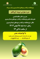 دوره مهارتی پیوند آووکادو در پژوهشکده مرکبات و میوههای نیمهگرمسیری برگزار می شود