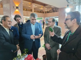 برپایی نمایشگاه دستاوردهای پژوهشکده مرکبات و میوههای نیمهگرمسیری در سومین گردهمایی اعضای هیات علمی و محققان موسسه تحقیقات علوم باغبانی