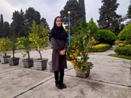 در هفته پژوهش مطرح شد: نقش مدیریت تغذیه گیاه در افزایش تحمل تنش‌های اقلیمی و تولید پایدار محصولات کشاورزی