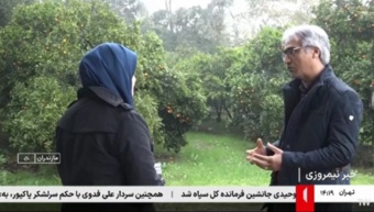 پژوهشگران پژوهشکده مرکبات و میوههای نیمهگرمسیری موفق شدند با بهرهگیری از فناوری هستهای و روش پرتوتابی با اشعه گاما، ارقام جدیدی از مرکبات را تولید و معرفی کنند