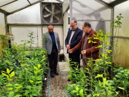 بازدید رئیس سازمان جهاد کشاورزی استان مازندران از پژوهشکده مرکبات و میوه های نیمه گرمسیری