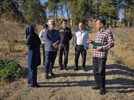 بازدید معاون پژوهشی موسسه تحقیقات علوم باغبانی از پردیس تحقیقات و آموزش انار ساوه